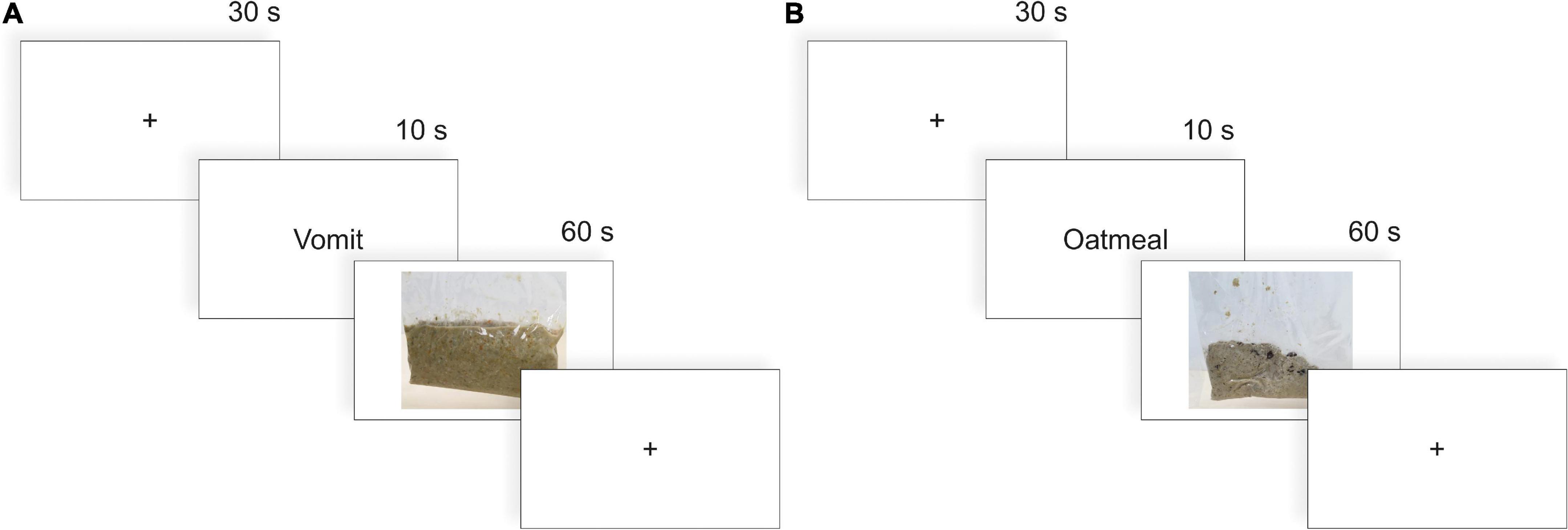 Ewww–Investigating the neural basis of disgust in response to naturalistic and pictorial nauseating stimuli